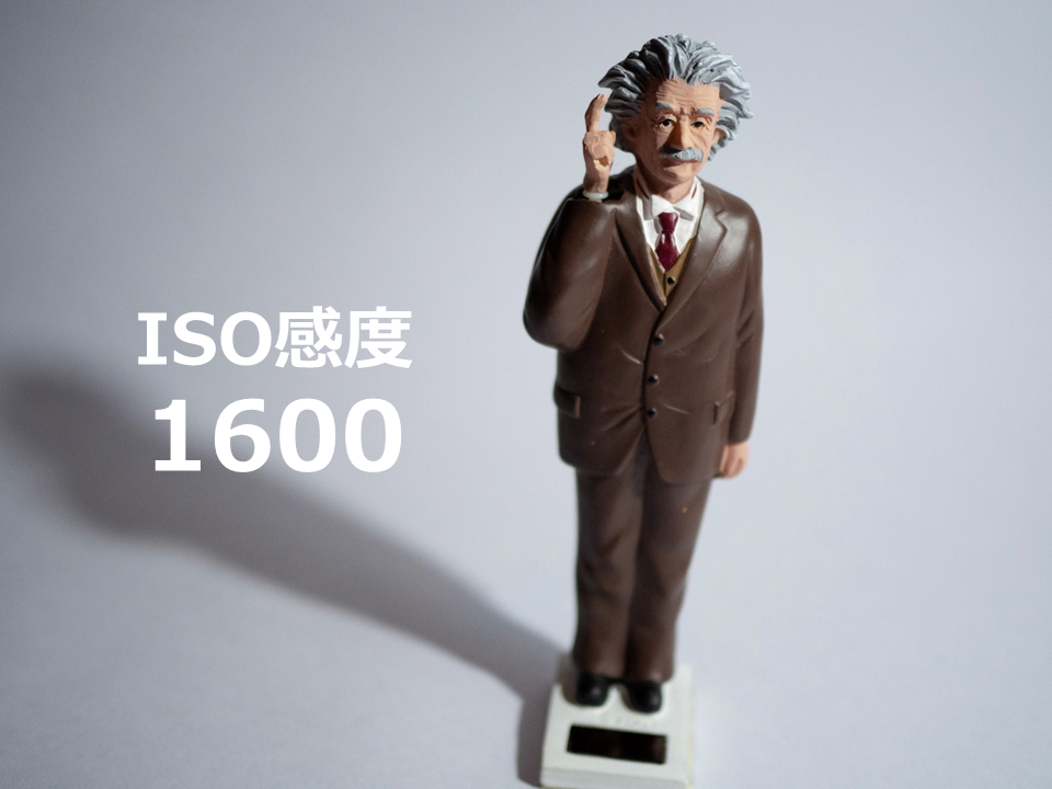 ISO感度1600の写真